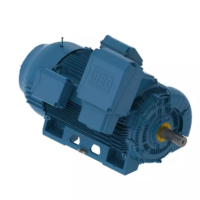 W50系列緊湊型大功率三相異步電機 W50系列緊湊型大功率三相異步電機